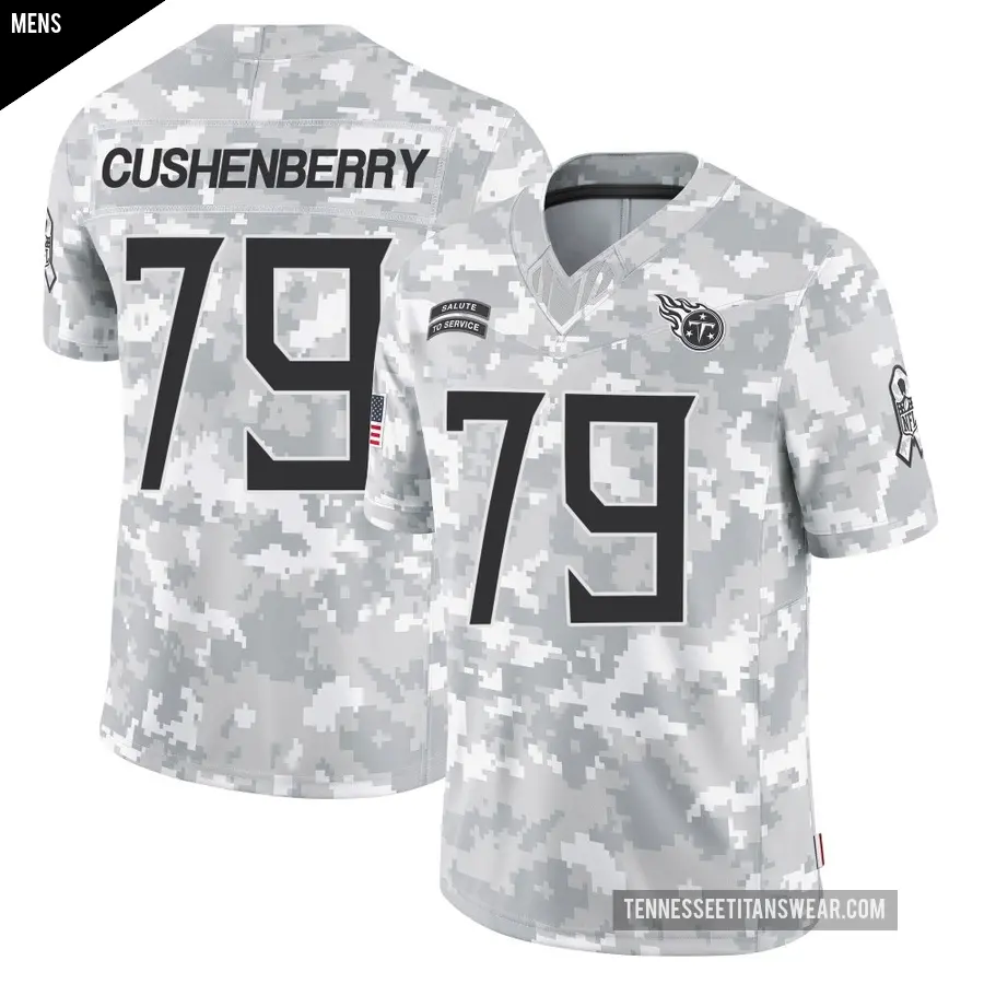 Men's Tennessee Titans ＃79 Lloyd Cushenberry III Arctic Camo Limited 2024 Salute to Service Jersey