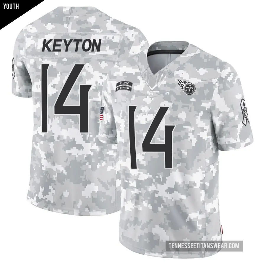 Youth Tennessee Titans ＃14 Ramel Keyton Arctic Camo Limited 2024 Salute to Service Jersey
