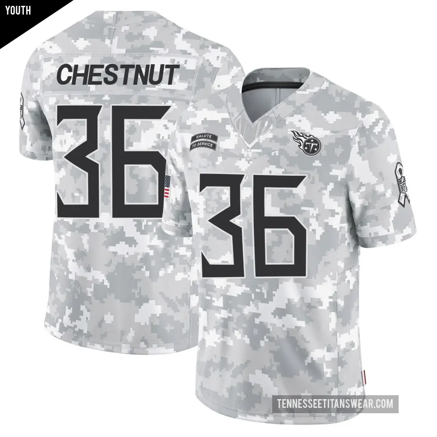 Youth Tennessee Titans ＃36 Julius Chestnut Arctic Camo Limited 2024 Salute to Service Jersey