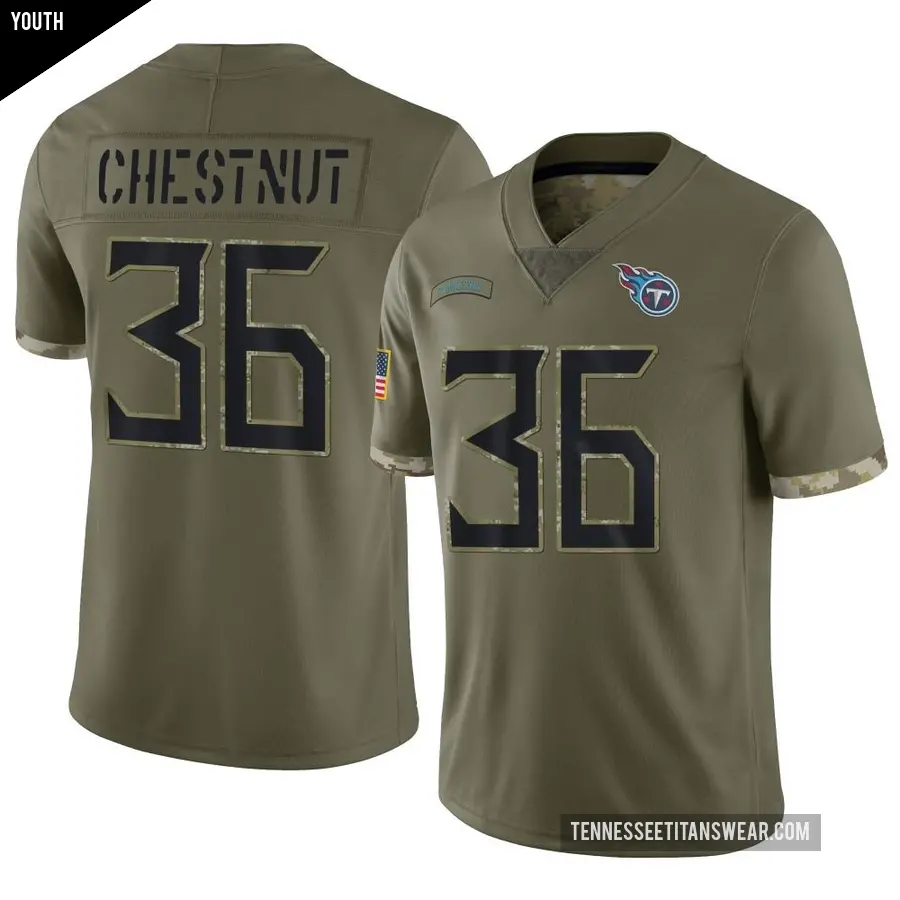 Youth Tennessee Titans ＃36 Julius Chestnut Olive Limited 2022 Salute To Service Jersey