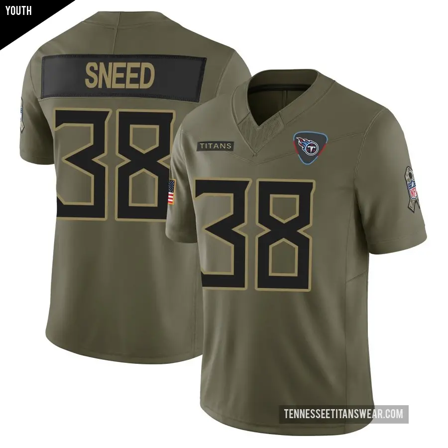 Youth Tennessee Titans ＃38 L'Jarius Sneed Olive Limited 2025 Salute to Service Jersey