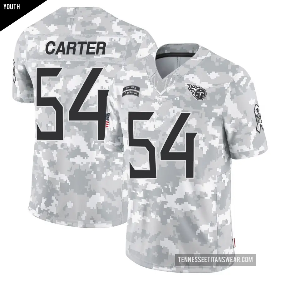 Youth Tennessee Titans ＃54 Lorenzo Carter Arctic Camo Limited 2024 Salute to Service Jersey
