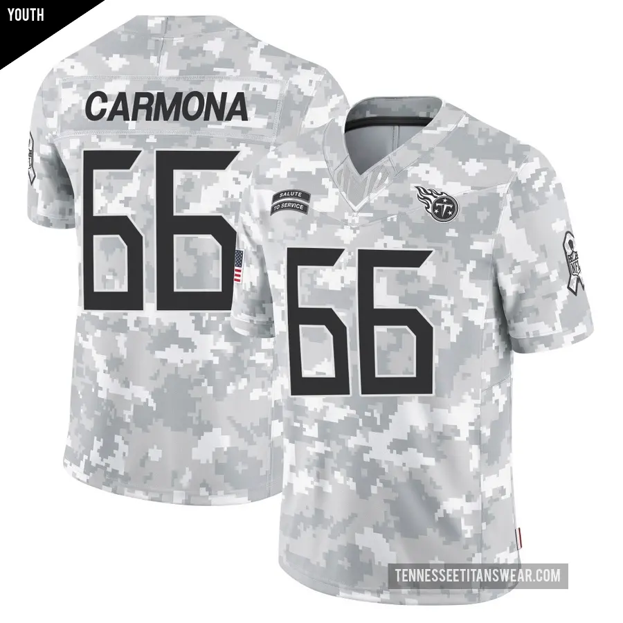 Youth Tennessee Titans ＃66 Fernando Carmona Arctic Camo Limited 2024 Salute to Service Jersey