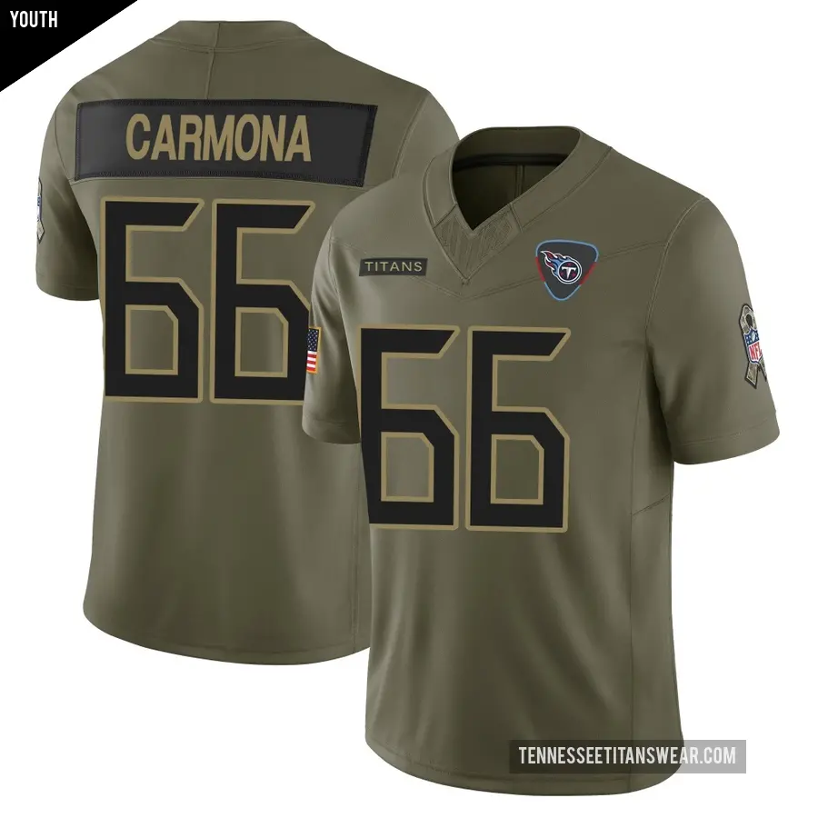 Youth Tennessee Titans ＃66 Fernando Carmona Olive Limited 2025 Salute to Service Jersey