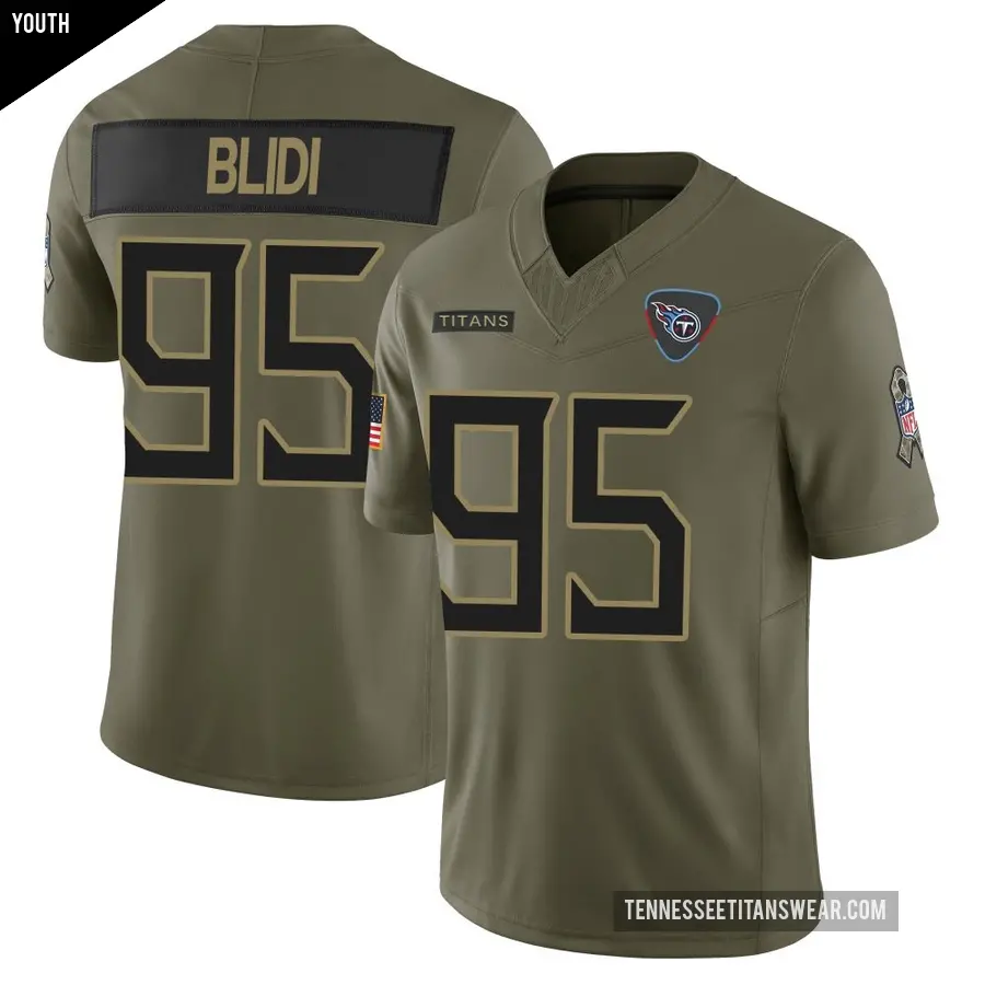 Youth Tennessee Titans ＃95 Philip Blidi Olive Limited 2025 Salute to Service Jersey